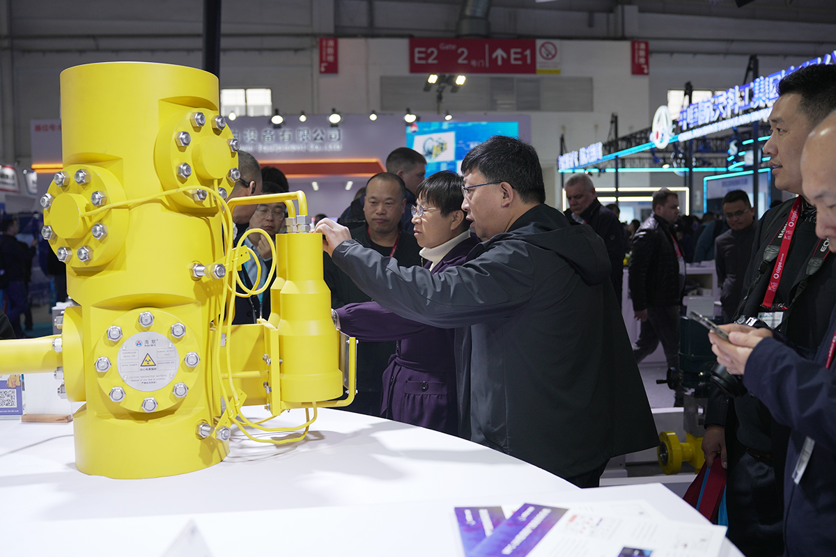 �������ǲ���(�й���)���Ź���