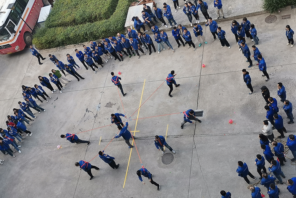 �������ǲ���(�й���)���Ź���