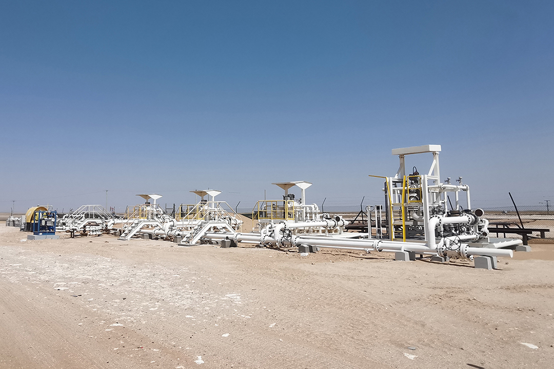 �������ǲ���(�й���)���Ź���